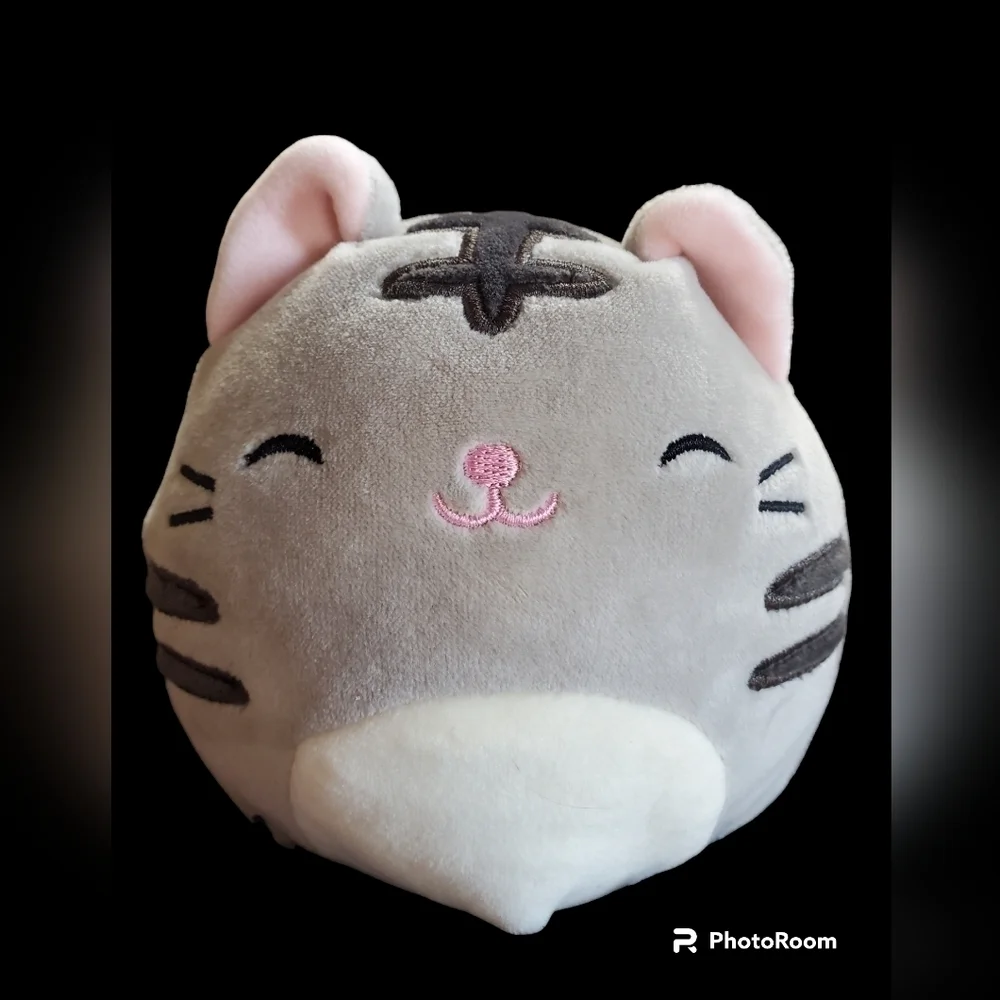 Squishmallow Tally the Cat 2018. 5